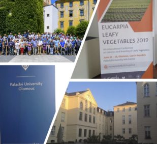 EUCAPIA Leafy Vegetables 2019