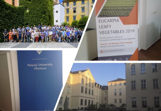 EUCAPIA Leafy Vegetables 2019
