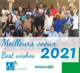 Nova Genetic wishes you a happy new year 2021!