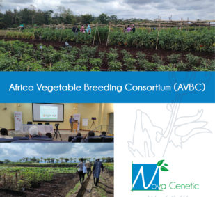 AVBC Congress (Africa Vegetable Breeding Consortium) by World Vegetable Center